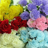 Artificial Carnations