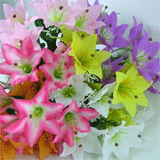 Artificial Lilies