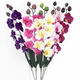 Artificial Orchids