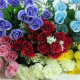 Artificial Roses