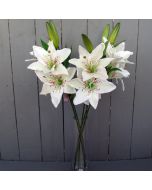 Artificial Ivory Lily Flowers