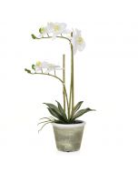 50cm Artificial Real Touch White Orchid in Pot