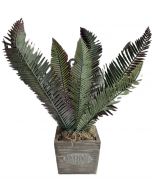 Artificial Regal Red Fern Palm in Pot