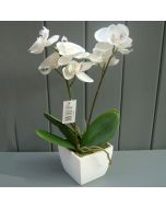 Artificial Potted Cream Orchid Plant