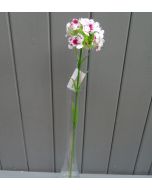 Artificial 42cm White / Pink Sweet William