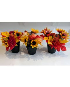 3 x Autumn Floral Mini Potted Arrangements