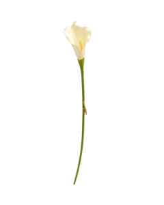 62cm Artificial Cream Calla Lily