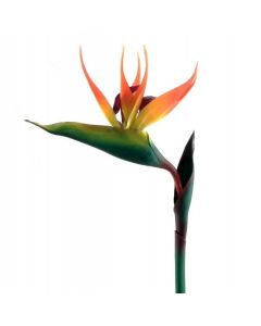 Large Realistic Artificial Bird of Paradise Flower