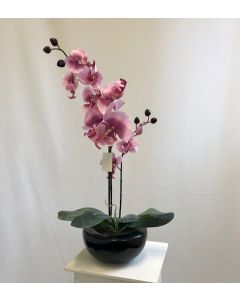52cm Artificial Blush Pink Orchid Plant in Pot