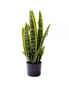 57cm Artificial Sansevieria  Snake Plant (Mother-in-laws Tongue)