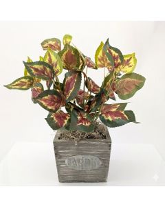 Artificial Coleus Orb Coloured Leaf Plant in Pot