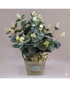 Artificial Eucalyptus in Pot