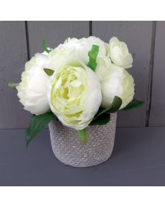 Artificial 18cm Ivory Peonies in a Grey Pot
