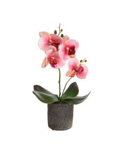 32cm Artificial Real Touch Orchid in Pot