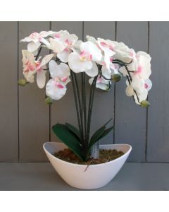 42cm Pink & Ivory Potted Artificial Orchid - 6 Stem