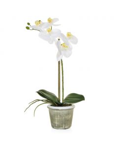 35cm Artificial Real Touch White Orchid in Pot