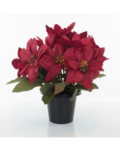 Artificial Red Poinsettia in Grave Pot