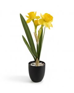 Artificial Daffodil in Black Pot - 27cm