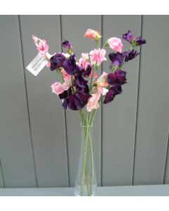 Artificial 42cm Pink and Purple Sweet Pea Flowers Bunch