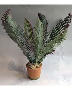 Artificial Regal Red Fern Palm in Pot
