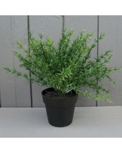 Artificial 27cm Thyme Potted Plant