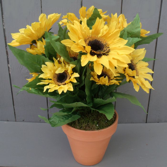Artificial 38cm Potted Sunflower Permabloom